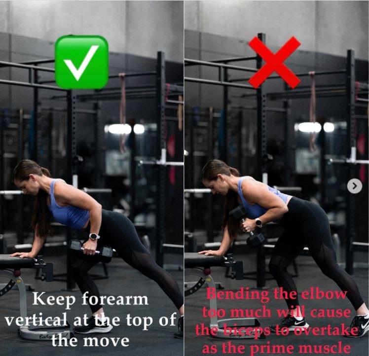 Arm rows online exercise